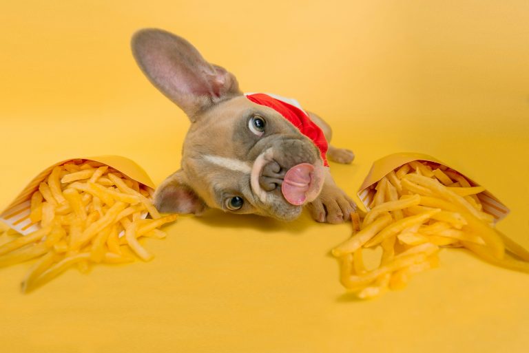 high cholesterol