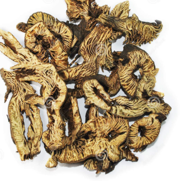 Rhizoma Cimicifugae - Sheng Ma - 升麻