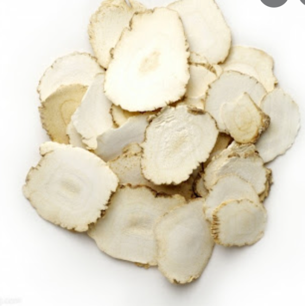 Radix Angelicae Dahuricae - Bai Zhi - 白芷